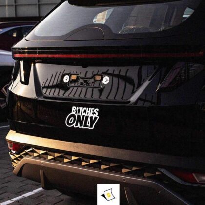 Стикер за кола Bitches Only