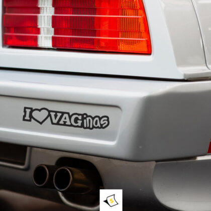 Стикер за кола I Love VAGinas