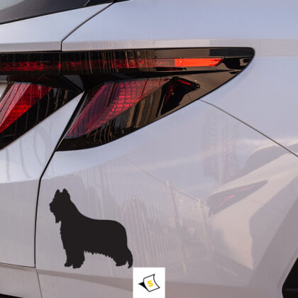 Стикер за кола - Бриард