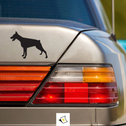 Стикер за кола - Доберман "Стикер за кола с изображение на доберман с отличителни черти, включително мускулесто тяло, остра форма на ушите и ярки очи. Дизайнът акцентира на естествената елегантност и сила на породата, идеален за собственици и любители на доберманите, добавяйки личен штрих на автомобила.