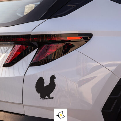 Стикер за кола - Глухар Стикер за кола с изображение на глухар, символизиращ природата и приключенията. Идеален за любителите на птиците и активния живот на открито, този стикер ще придаде уникален стил на вашето возило!