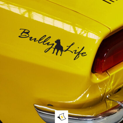 Стикер за кола 'Живот на Хулиган' - смел и провокативен дизайн, който отразява духа на независимост и авантюри. С уникални графики и ярки цветове, този стикер е перфектният начин да покажете своята индивидуалност и страст към живота извън правилата. Изработен от устойчиви материали, стикерът лесно се прилепва и е подходящ за всякакви атмосферни условия, което го прави идеален за автомобили и мотоциклети.