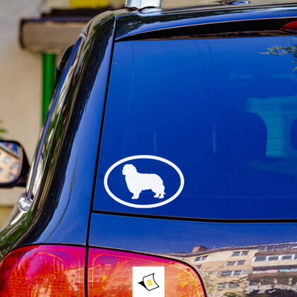 Стикер за кола - Куче Кинг Чарлз Шпаньол Стикер за кола с изображение на куче Кинг Чарлз Шпаньол. Стилен и очарователен, този стикер добавя индивидуалност на вашия автомобил и демонстрира любовта ви към породата. Лесен за нанасяне и устойчив на външни условия.