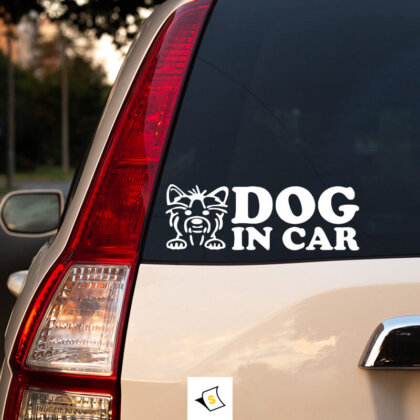 Стикер за кола - Куче в колата Йорки с надпис и изображение на Йорки Ярки цветове и симпатичен дизайн, идеален за собственици на кучета, които искат да покажат обичта си към своите четириноги приятели. Изработен от устойчиви на атмосферни условия материали.