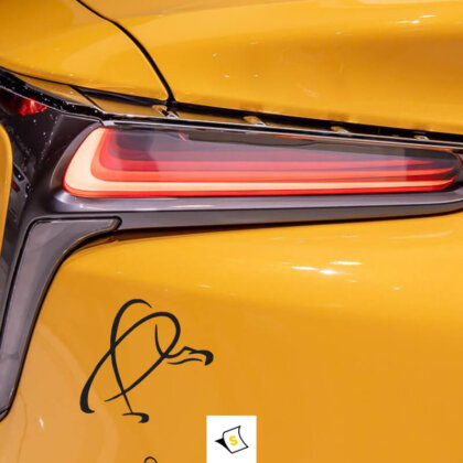 Стикер за кола - Лешояд Изработен от устойчиви материали, с ярки цветове и детайлна графика, идеален за любители на дивата природа.