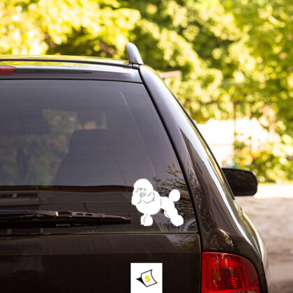 Стикер за кола - Мини Пудел Стикер за кола с изображение на мини пудел, идеален за любителите на породата. Стилен, забавен и устойчив на атмосферни условия, този стикер добавя индивидуалност на автомобила ви.