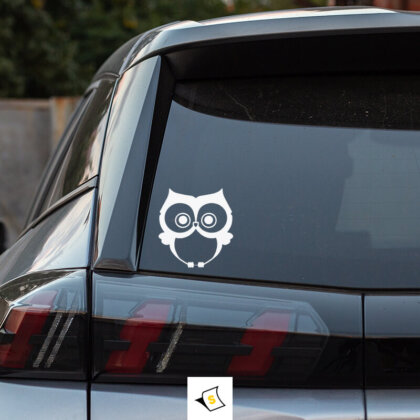 Стикер за кола - Сладък Бухал Стикер за кола със сладък бухал. Перфектен за любителите на природата и животните!