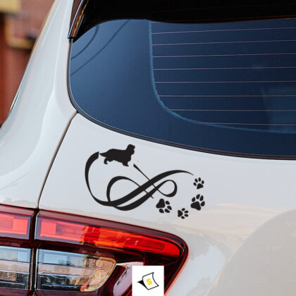 Стикер за кола - Куче Чарлз шпаньол Лапичка Стикер за кола с изображение на куче от породата Чарлз шпаньол и забавен надпис 'Лапичка'. Перфектен за любителите на кучета, този стикер добавя уют и индивидуалност на вашия автомобил, показвайки обичта ви към четириногите приятели.
